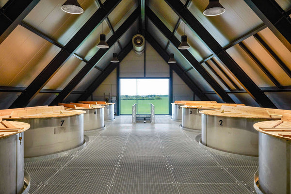 Stauning Visitor Center: Mere end bare whisky