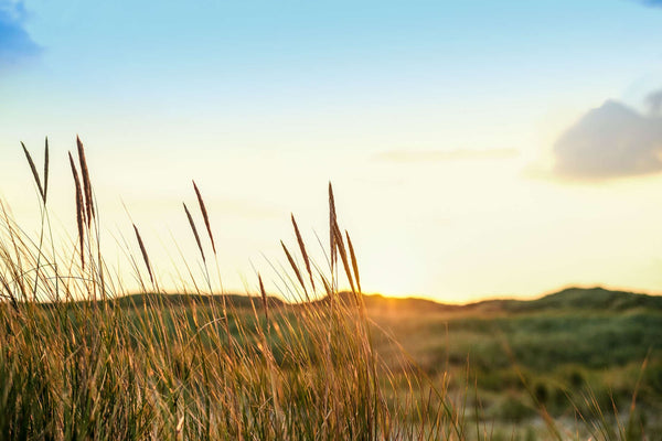 Derfor skal du tage til Vestjylland for at opleve Stauning